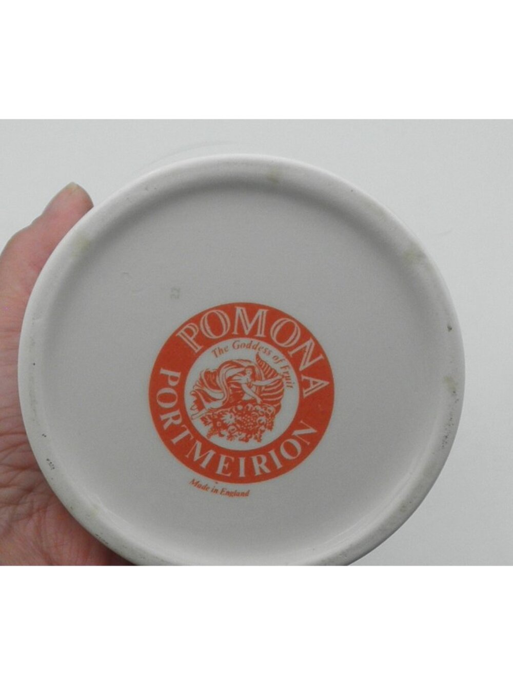 Pomona by Portmeirion Pasta Canister  Pattern Code: PRTPOM Hoary Morning Apple - Picture 11 of 14